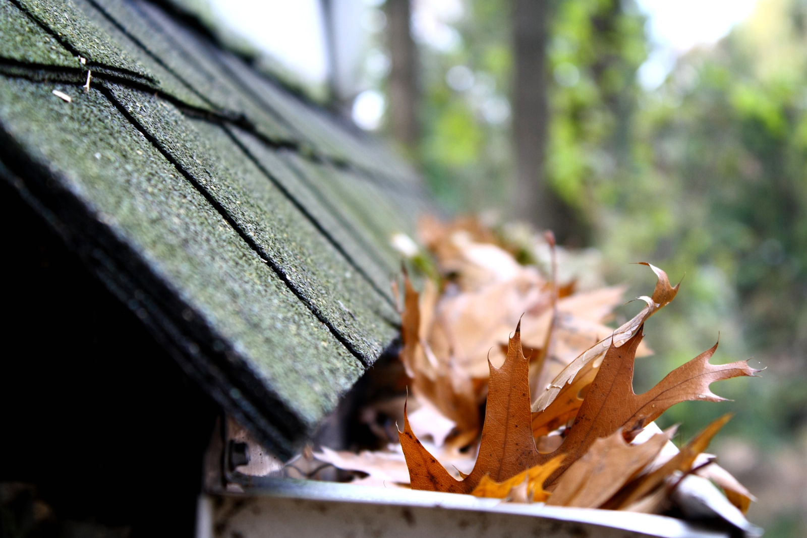 How to Unclog and Clean Roof Gutters | Drains and Gutters