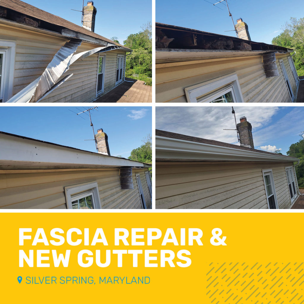 Fascia Repair & Gutter Installation