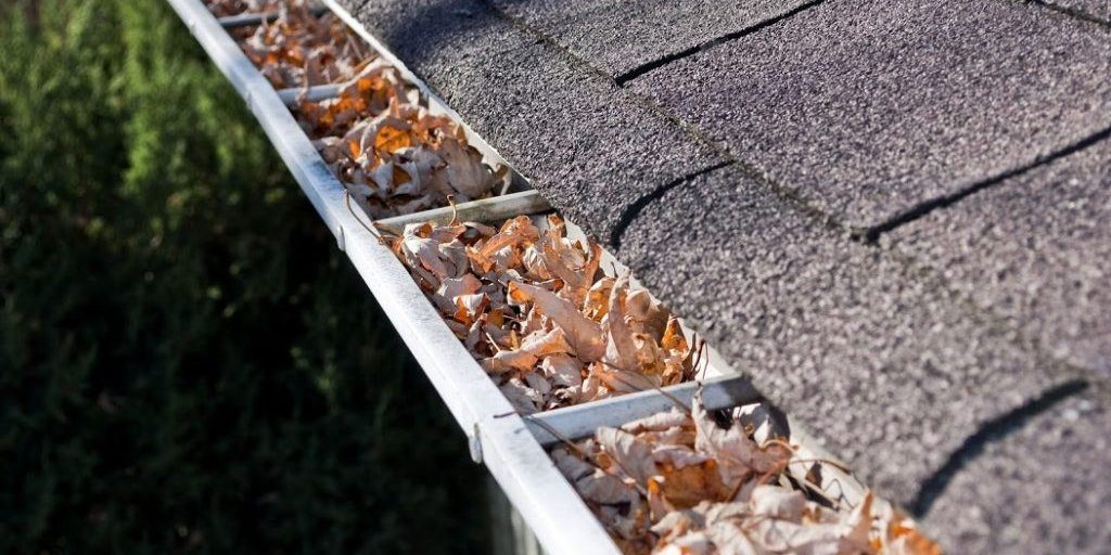 How To Prepare Your Gutters Before the Leaves Fall