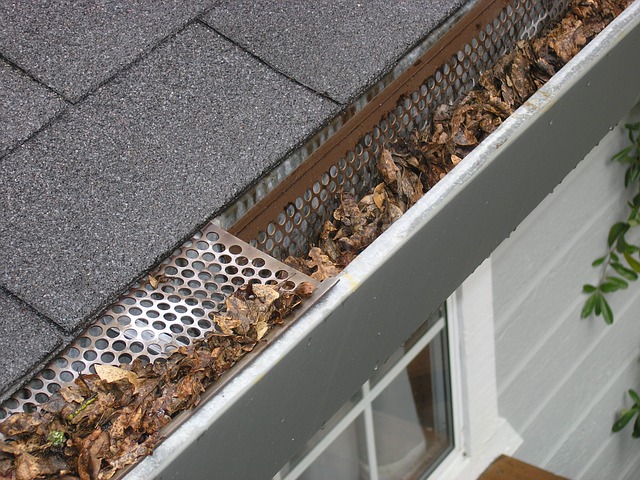 Clean your Gutters before Fall comes in!